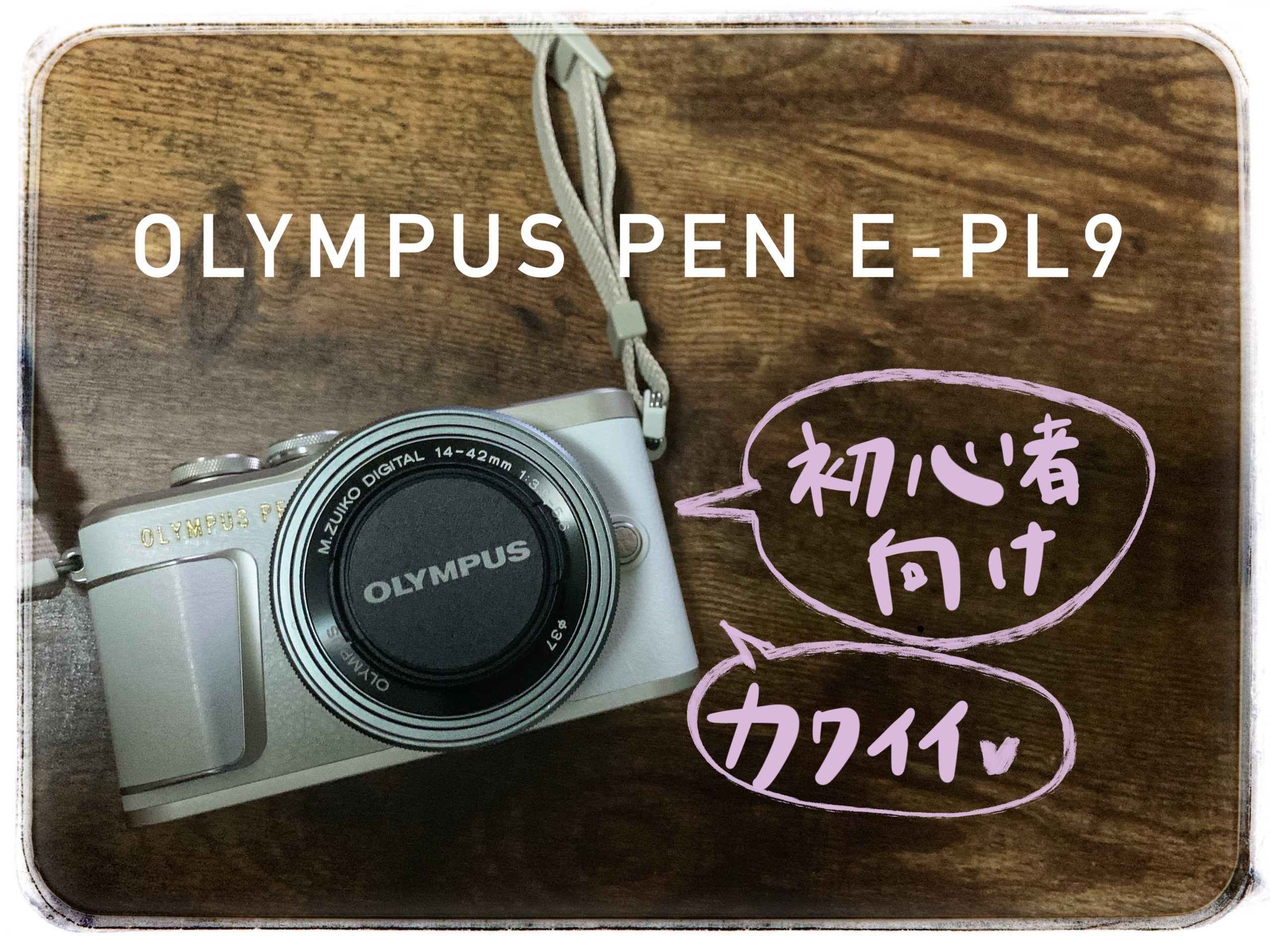 カメラ初心者 Olympus Pen E Pl9を選んだ理由 10との比較 Miho Design